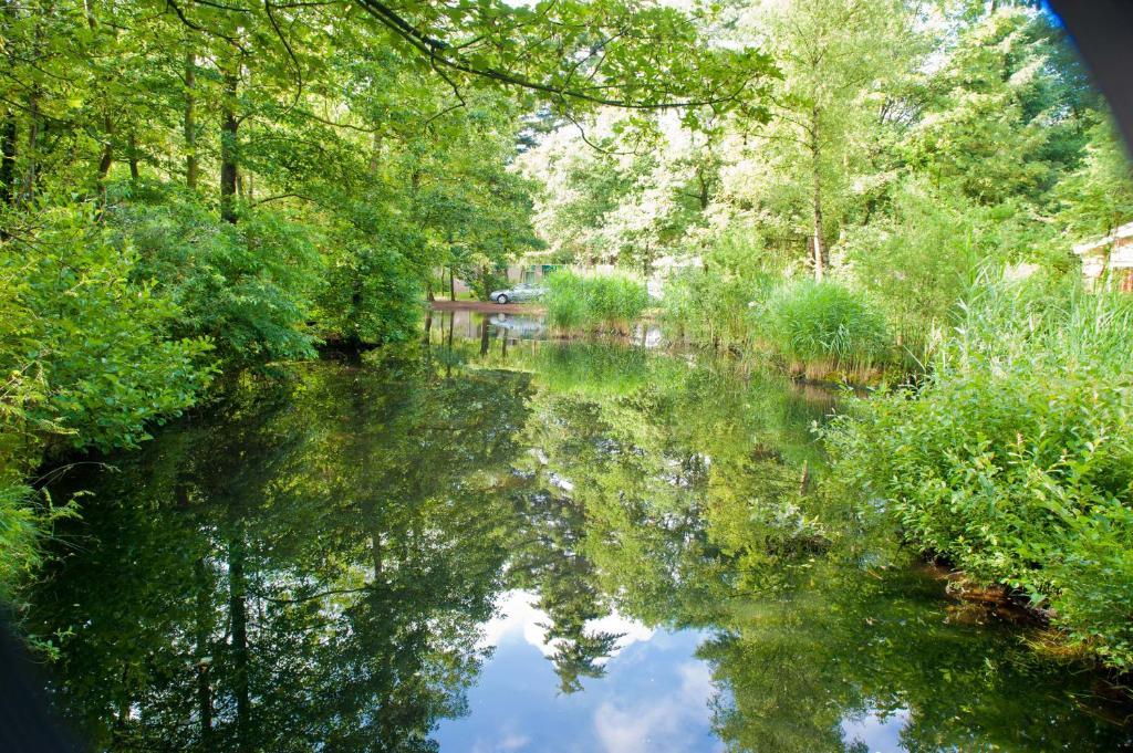 Vakantiepark De Berkenhorst Kootwijk Exterior foto